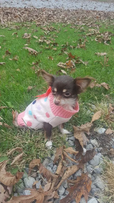 Oakview Campground Picture 2