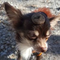 Oakview Campground ico