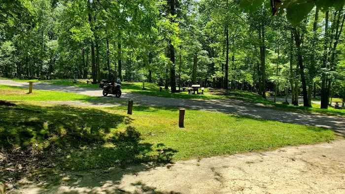 Mountwood Park Campground Picture 3