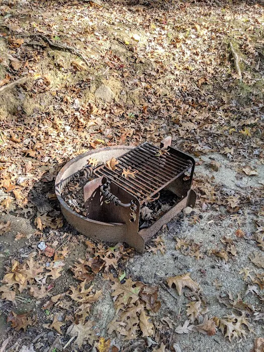 Mountwood Park Campground Picture 8