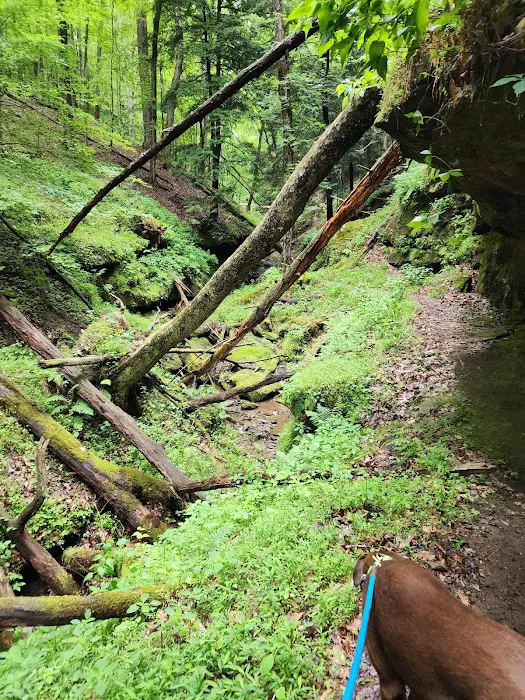 River Run Campground Picture 9