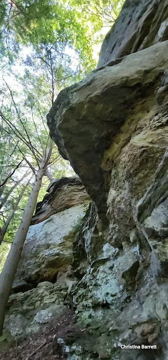 River Run Campground Picture 2