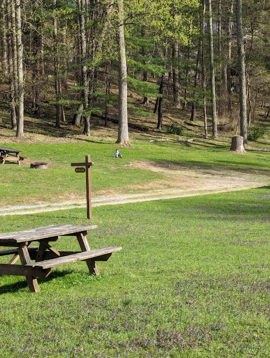 River Run Campground Picture 10