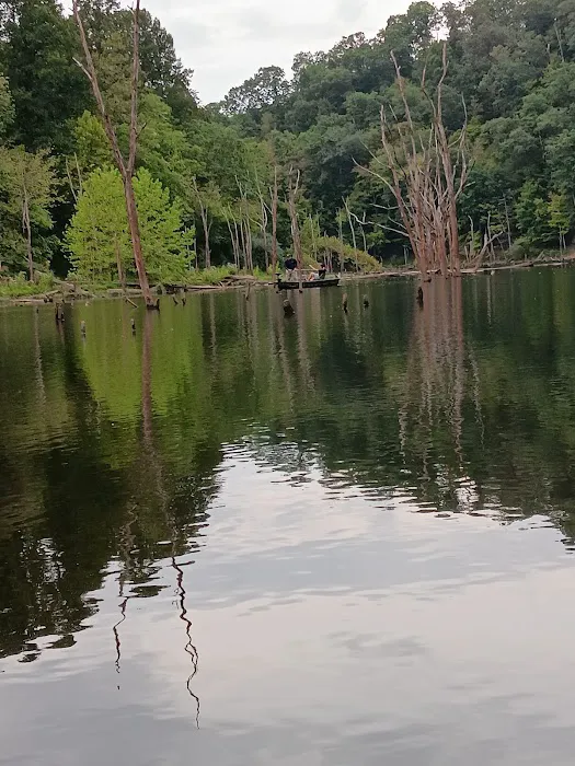 Cokeley Campground Picture 1
