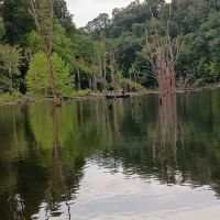 Cokeley Campground ico
