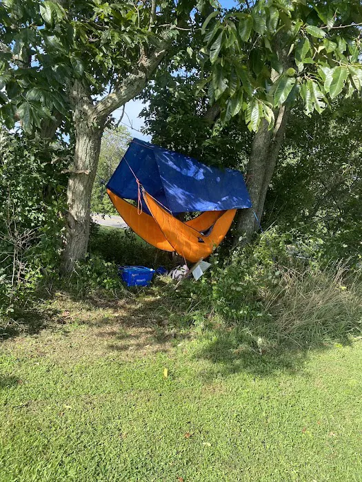 Cokeley Campground Picture 10