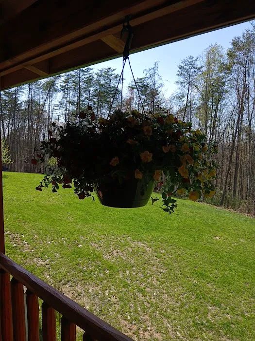 Lakeview Campground Picture 3