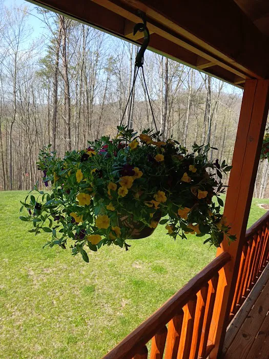 Lakeview Campground Picture 4