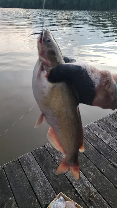 River Valley Campground Picture 4