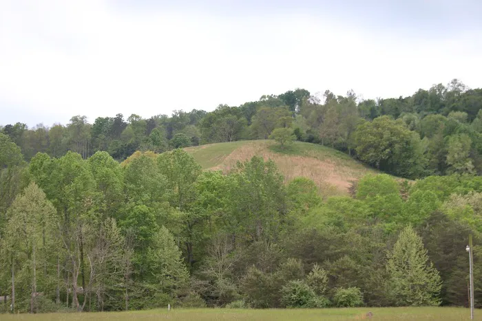 N. Bend State Park Campgrounds Picture 4