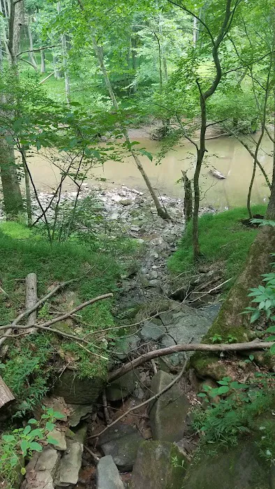 N. Bend State Park Campgrounds Picture 5