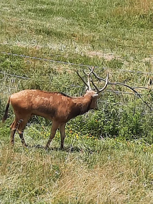 AEP Campground K Picture 8