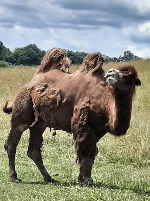 AEP Campground K Picture 3