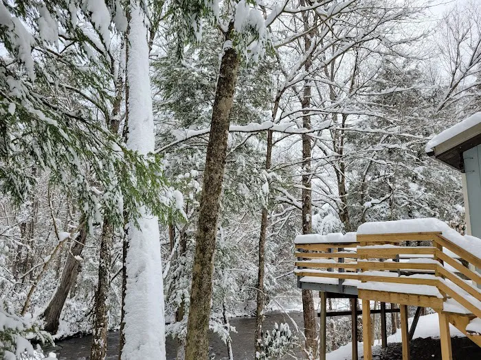 The Getaway Cabin Picture 1