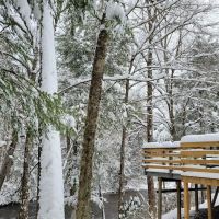 The Getaway Cabin ico