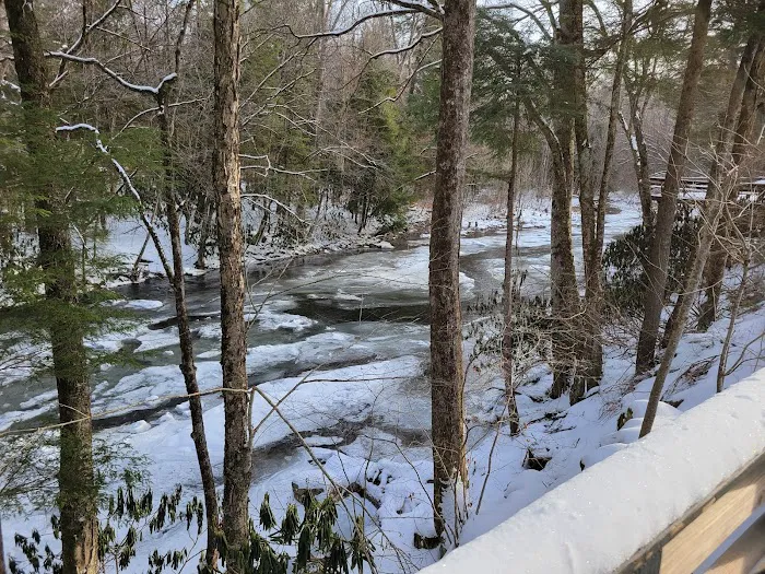 The Getaway Cabin Picture 2