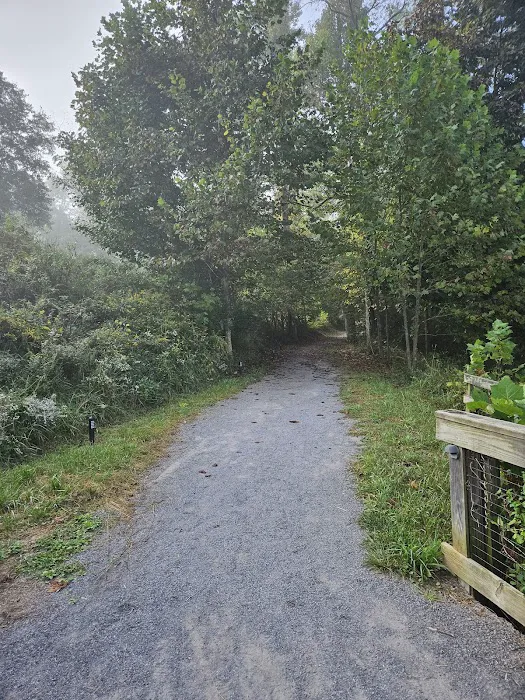 Briar Point Campground Picture 6