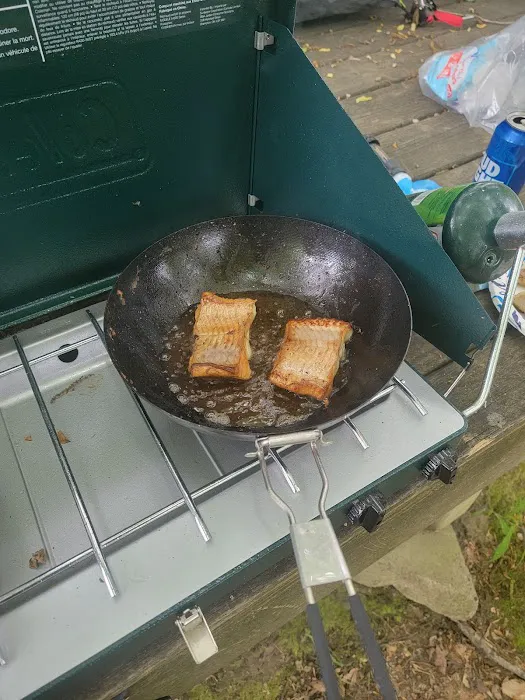 Briar Point Campground Picture 7