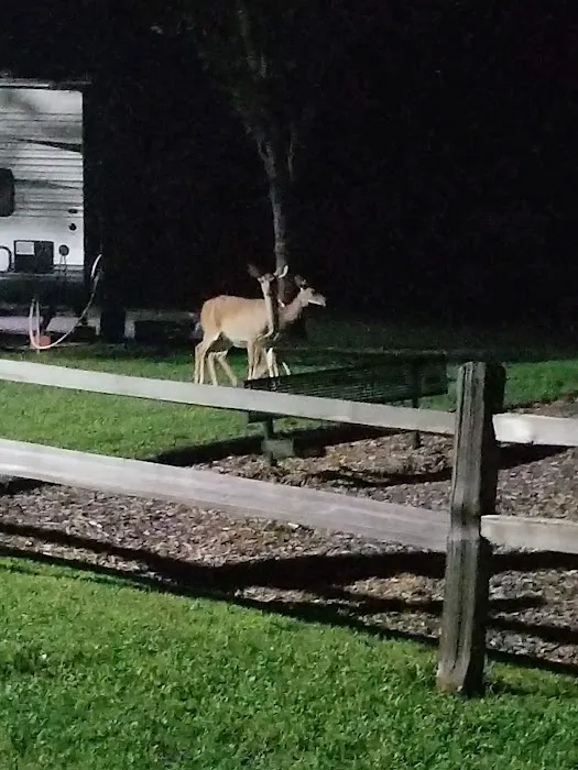 Riffle Run Campground Picture 5