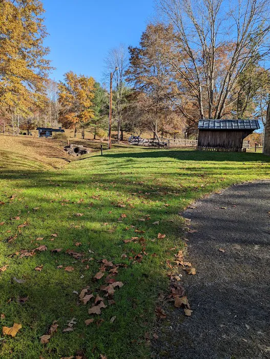 Bulltown Campground Picture 10