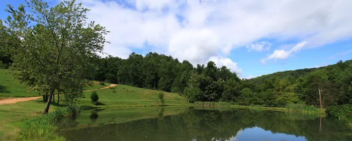 Middle Creek Campground Picture 5