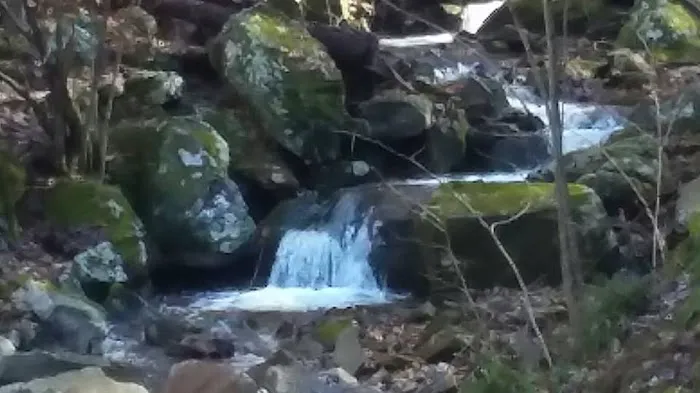 Middle Creek Campground Picture 10