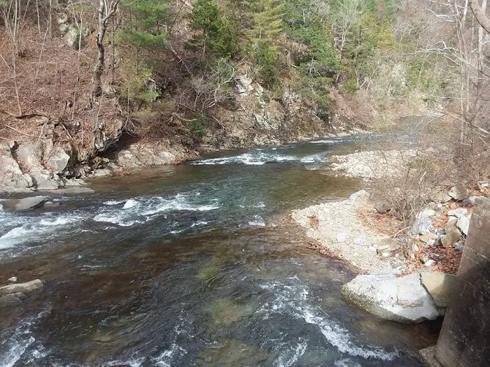 Middle Creek Campground Picture 1