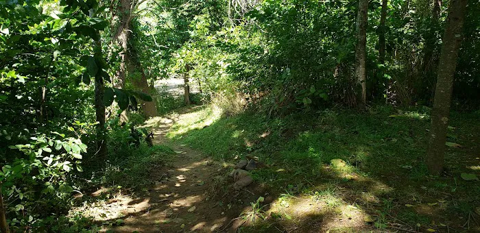 Breeden Bottom Campground Twin River Picture 7