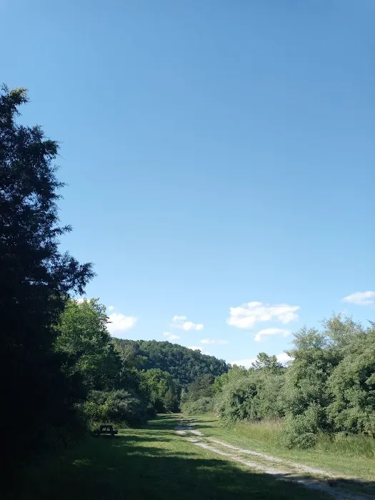 Breeden Bottom Campground Twin River Picture 9