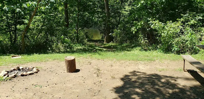 Breeden Bottom Campground Twin River Picture 3