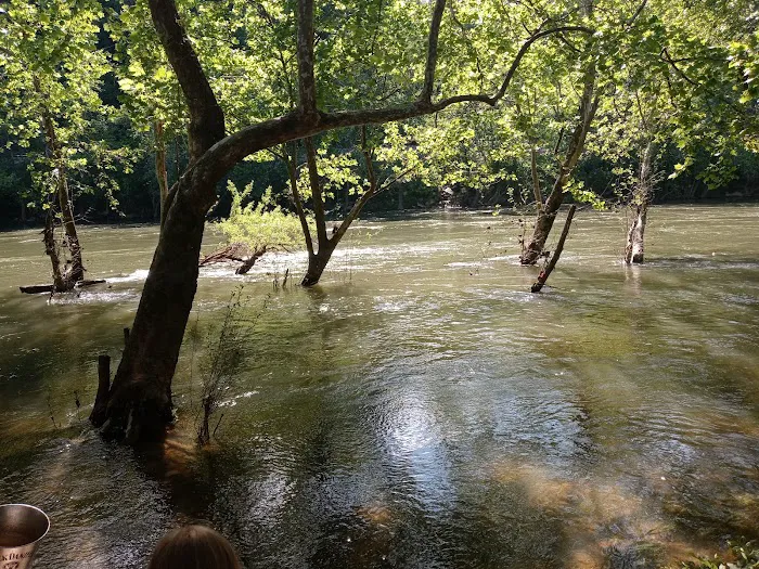 Breeden Bottom Campground Twin River Picture 10