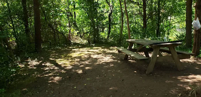 Breeden Bottom Campground Twin River Picture 1