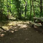 Breeden Bottom Campground Twin River