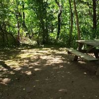 Breeden Bottom Campground Twin River ico