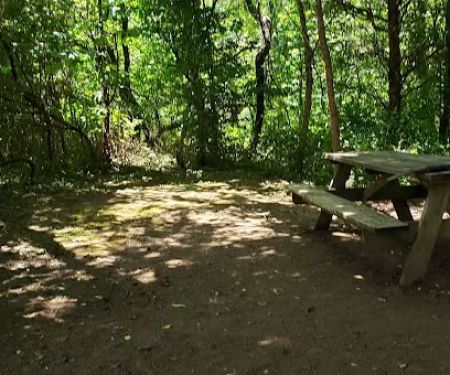 Breeden Bottom Campground Twin River