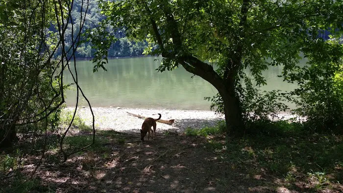 McClintic Point Primitive Campground Picture 9