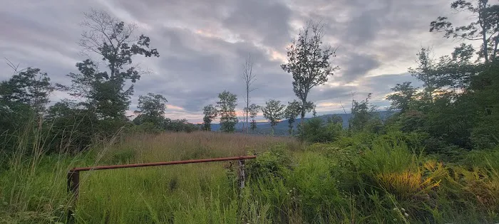 McClintic Point Primitive Campground Picture 2