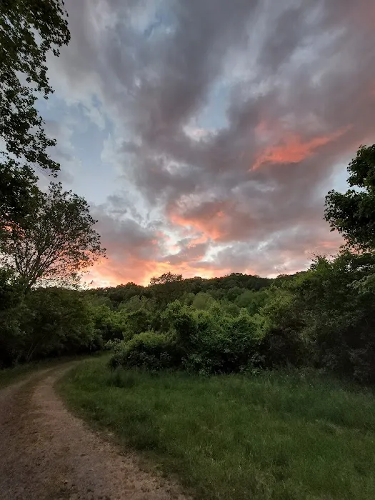 McClintic Point Primitive Campground Picture 1