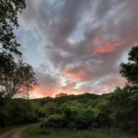 McClintic Point Primitive Campground ico