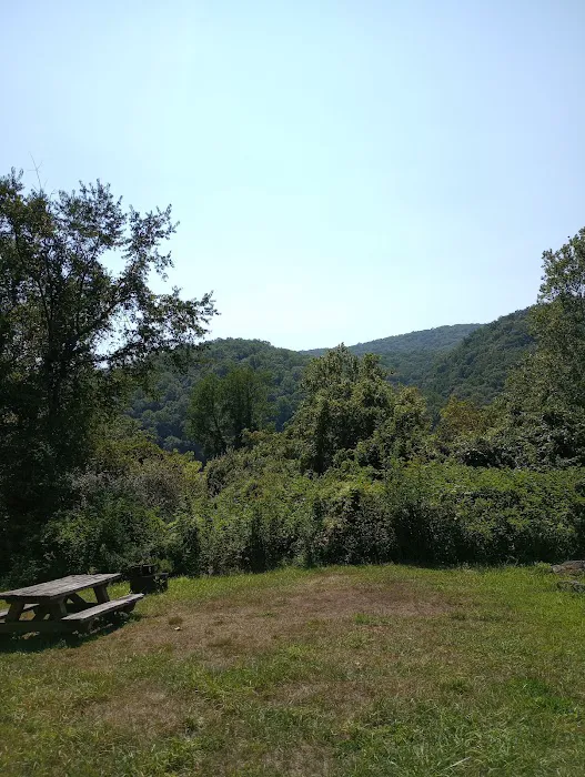 McClintic Point Primitive Campground Picture 6