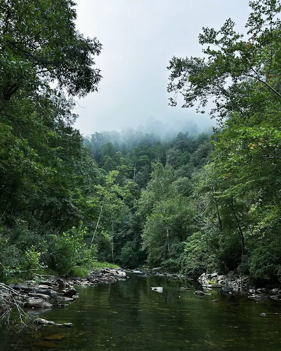 Blowing Springs Campground Picture 3