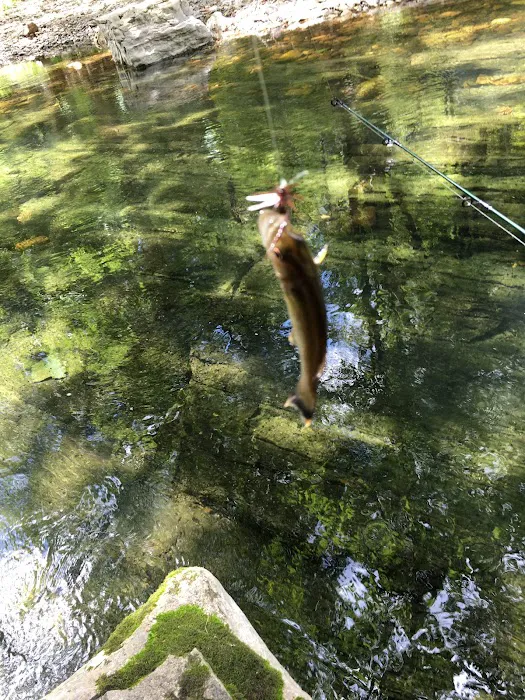 Blowing Springs Campground Picture 9