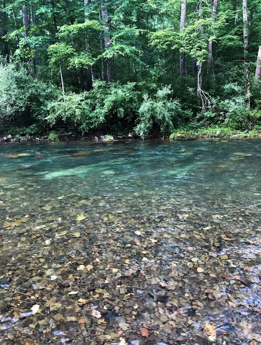 Blowing Springs Campground Picture 8