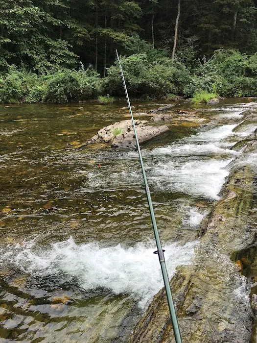 Blowing Springs Campground Picture 6