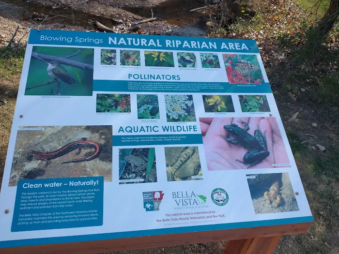 Blowing Springs Campground Picture 2