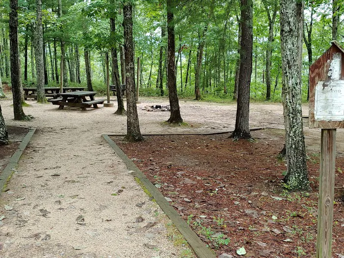 Morris's Hill Group Campground #2 Picture 5