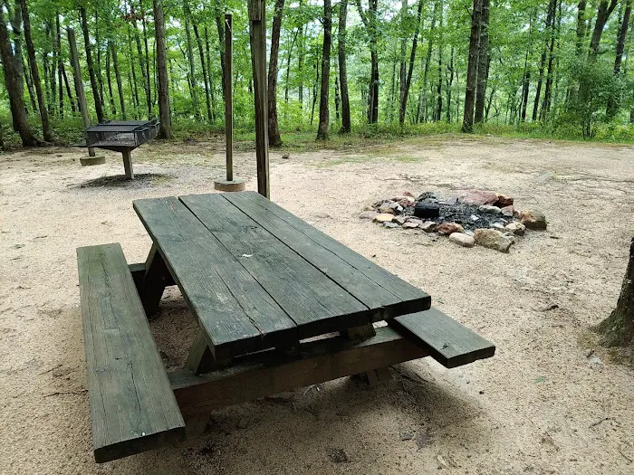 Morris's Hill Group Campground #2 Picture 6