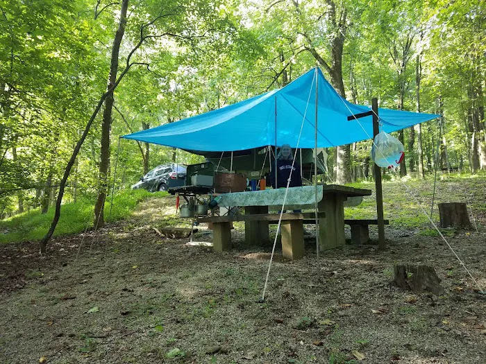 Peaks Of Otter Campground Picture 4