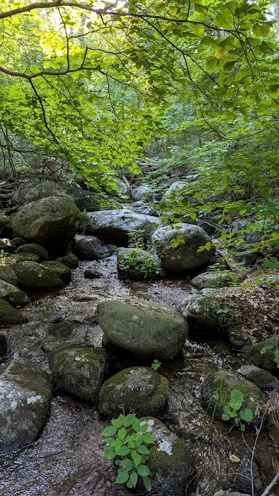 Peaks Of Otter Campground Picture 8