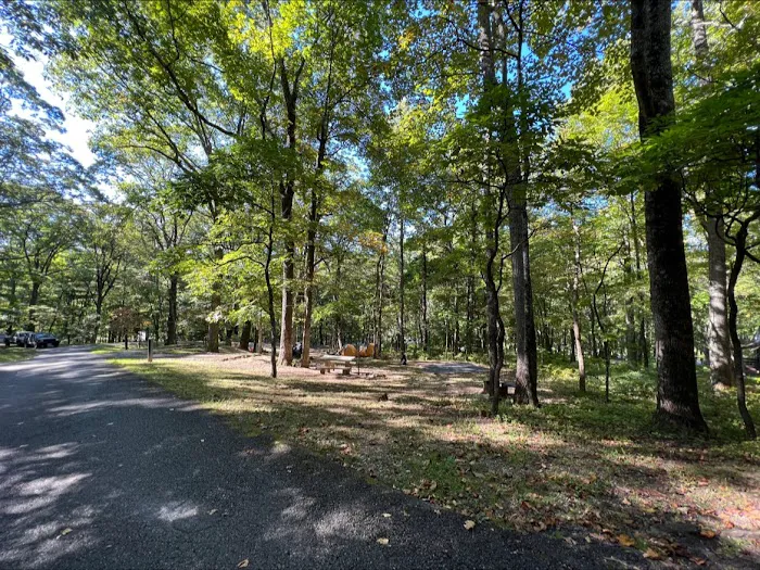 Peaks Of Otter Campground Picture 3